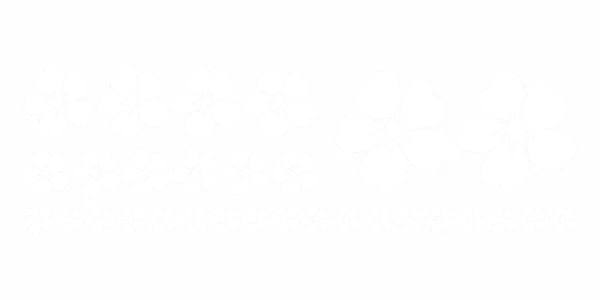 Außenwandtattoo Set mit Blumen zur freien Platzierung - Ansicht Farbauswahl