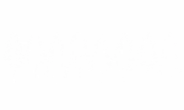 Auto Aufkleber Bäume Line Art