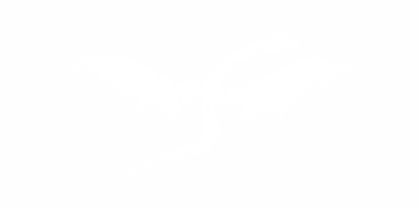 Preview: Cartattoo Fliegender Drache