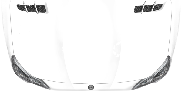 Preview: Autotattoo Exotische Echse