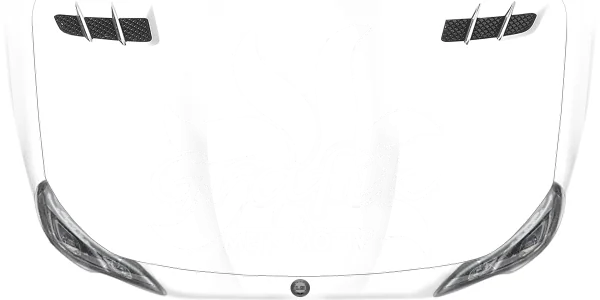 Autoaufkleber Eigene Grafik einfarbig - Ansicht Farbauswahl auf heller Motorhaube