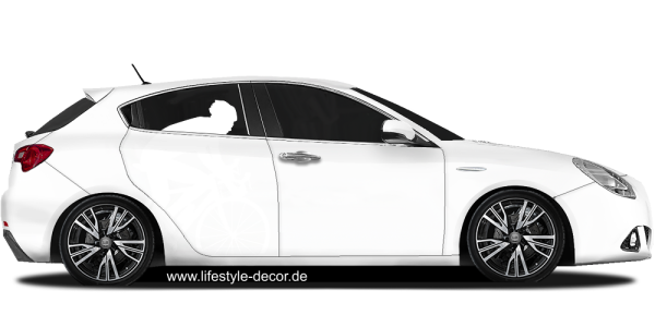 Preview: Autotattoo Rennrad