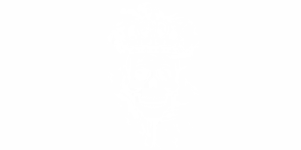 Autoaufkleber Skull King