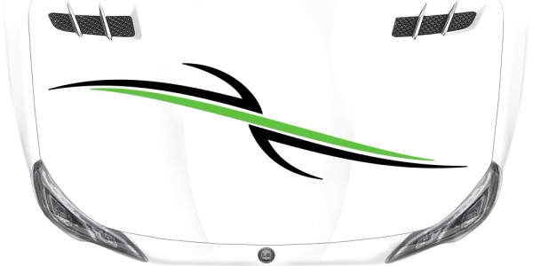 Preview: Autotribal 85