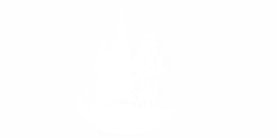 Wohnwagendekor Hirsch im Wald
