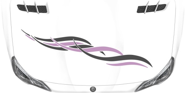 Preview: Autotribal 80