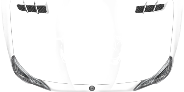 Preview: Hecktattoo Bodybuilder