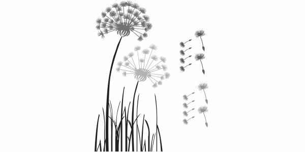 Preview: Autoaufkleber Bunte Pusteblume Preview: Autoaufkleber Bunte Pusteblume