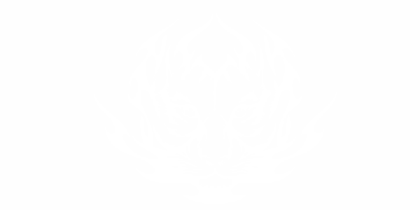 Preview: Autoaufkleber Tiger in Flammen