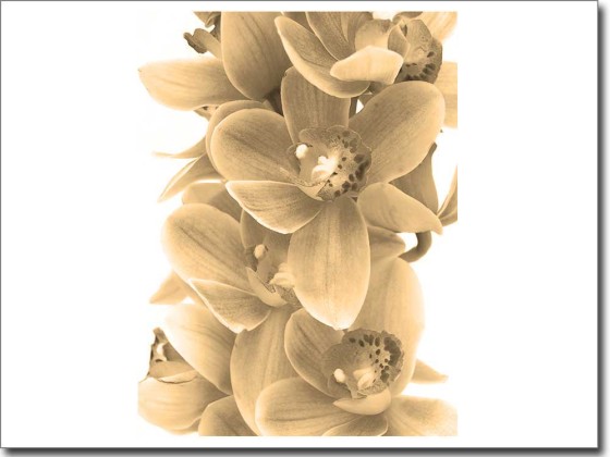 Preview: Glasdesign Orchidee Preview: Glasdesign Orchidee