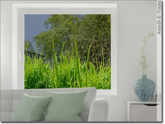 Blickdichte Fensterfolie Gras