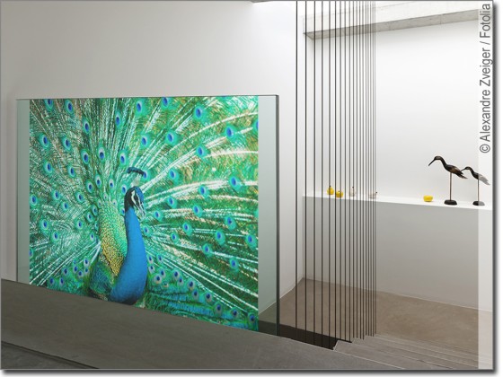Preview: Glasbild Pfau