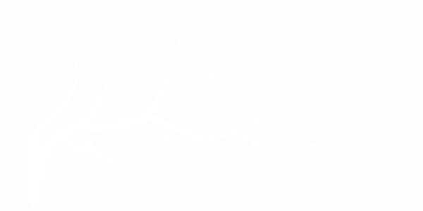 Preview: Autoaufkleber Ast Preview: Autoaufkleber Ast