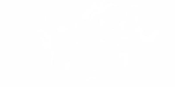 Preview: Autoaufkleber Troll