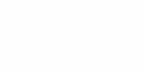 Preview: Autoaufkleber Wild Tiger