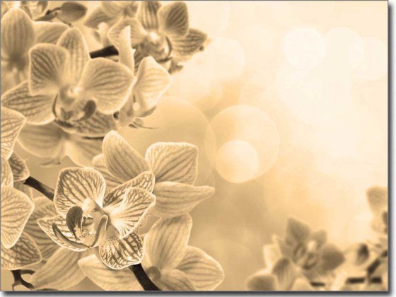 Preview: Glasdruck Pink Orchidee Preview: Glasdruck Pink Orchidee