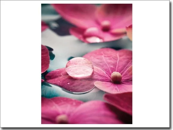 Glasbild mit pinken Blüten