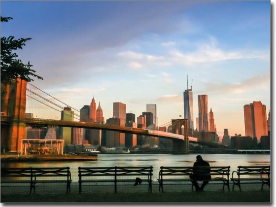 Preview: Brooklyn Promenade Preview: Brooklyn Promenade
