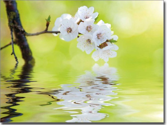 Preview: Erfrischung Preview: Erfrischung