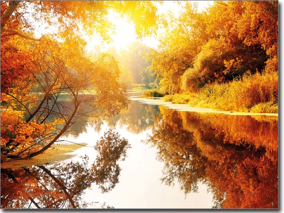 Preview: Fensterbild Herbstimpression Preview: Fensterbild Herbstimpression