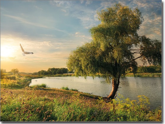 Preview: Glasdruck Landschaft im Sommer Preview: Glasdruck Landschaft im Sommer