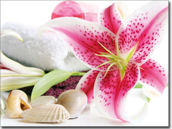 Preview: Glasbild Lilie in Pink