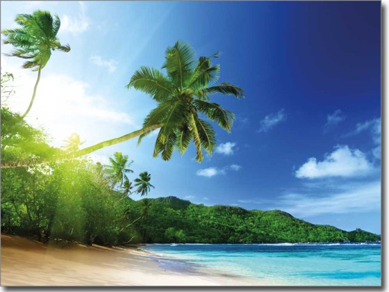 Preview: Glasprint Palme