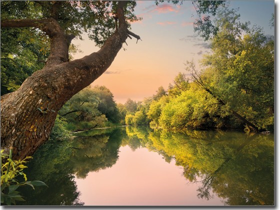 Preview: Foto auf Glas Waldsee Preview: Foto auf Glas Waldsee