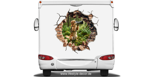 Preview: Eigenes Foto als HundeaufkleberLoch in der Steinwand