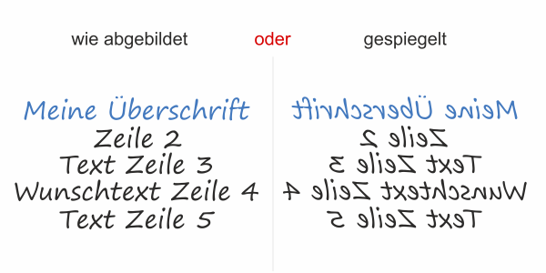 Fahrzeugbeschriftung Textblock | 11 - Ansicht Ausrichtung