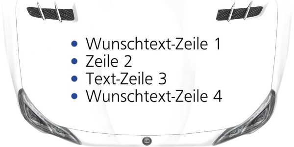 Preview: Fahrzeugwerbung 06