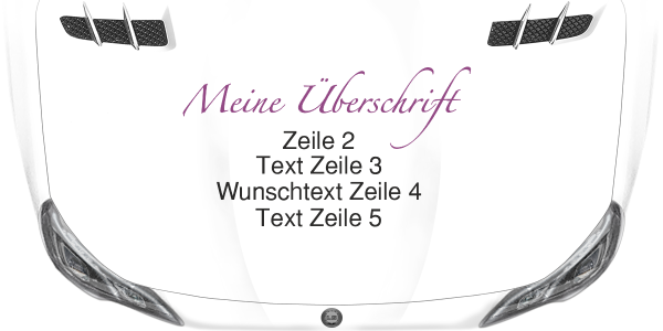 Preview: Fahrzeugwerbung Adresse 01 auf Motorhaube