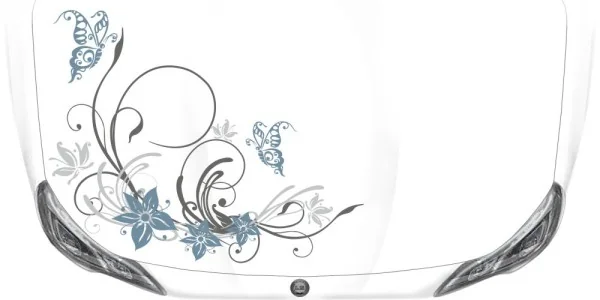 Farbiger Autosticker Tagtraum auf heller Motorhaube