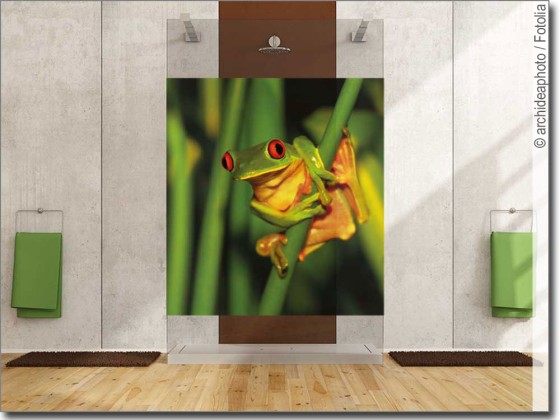 Preview: Fenster Foto Frosch Preview: Fenster Foto Frosch