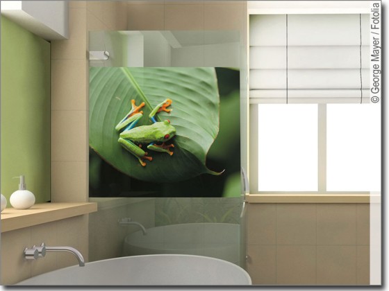 Preview: Fensterbild Frosch