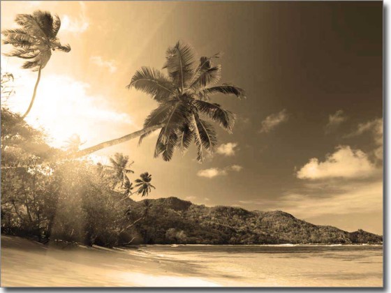 Preview: Glasprint Palme