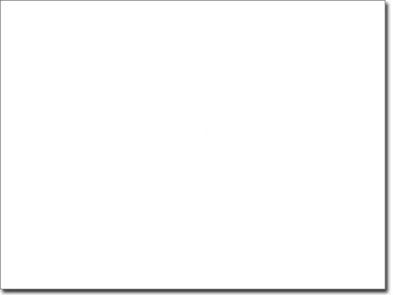 Fensterdeko Feder mit Vögel