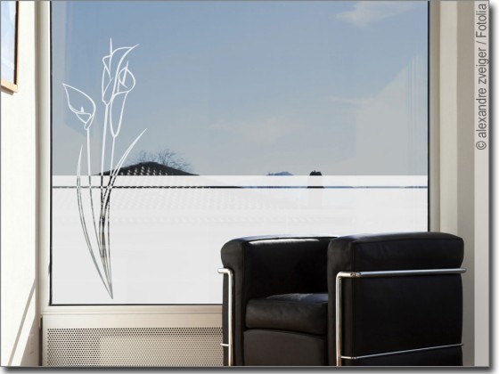 Preview: Sichtschutzfolie Blume Callas Preview: Sichtschutzfolie Blume Callas