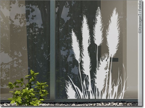 Preview: glas aufkleber pampasgras