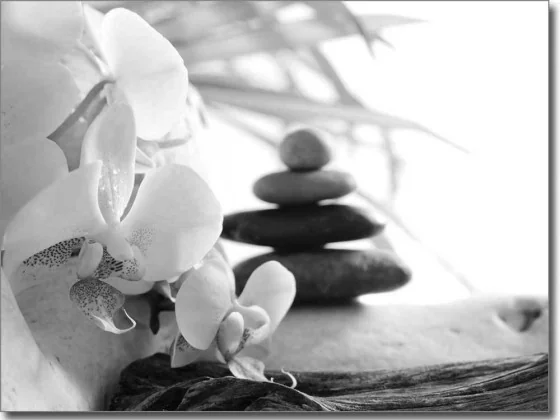 Fensterbild Orchidee schwarz-weiß