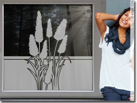 Preview: Sichtschutz Pampasgras 2