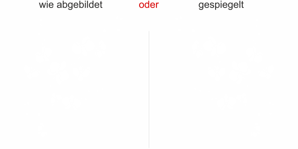 Preview: Fensterfolie Pflanze Orchidee - Ansicht Ausrichtung und Farbauswahl