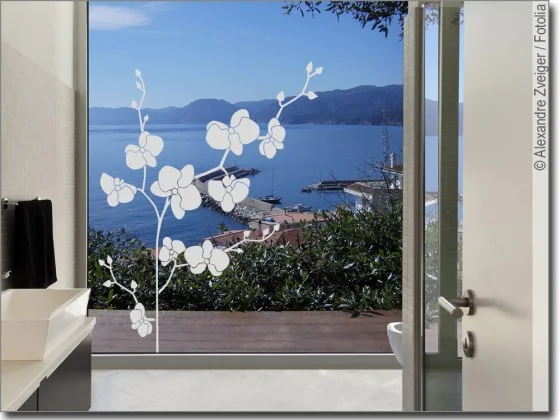Fensterfolie Pflanze Orchidee