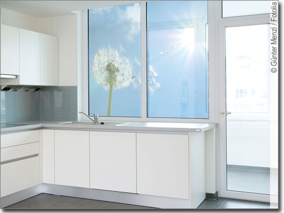 Preview: Pusteblume im Wind Preview: Pusteblume im Wind