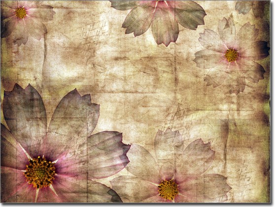 Preview: Fensterfolie Vintage Blumen Preview: Fensterfolie Vintage Blumen