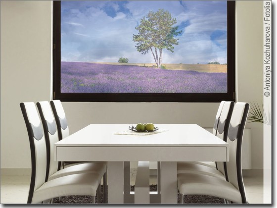 Preview: Lavendel Traum Preview: Lavendel Traum