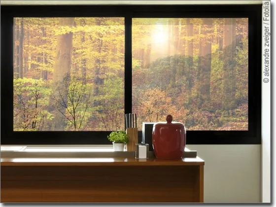 Fensterbild Herbstwald transparent
