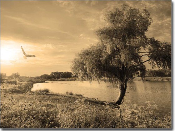Preview: Glasdruck Landschaft im Sommer Preview: Glasdruck Landschaft im Sommer