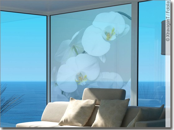 Preview: Glasbild weiße Orchidee Preview: Glasbild weiße Orchidee