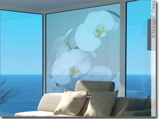 Glasdruck weiße Orchidee